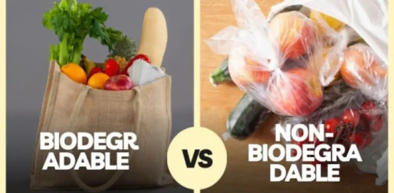 How to Identify Biodegradable vs. Non-Biodegradable Products