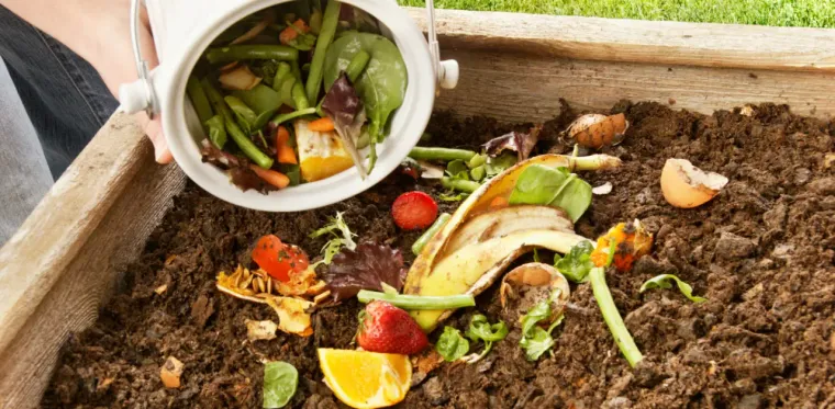 Biodegradable Trash Breaks Down