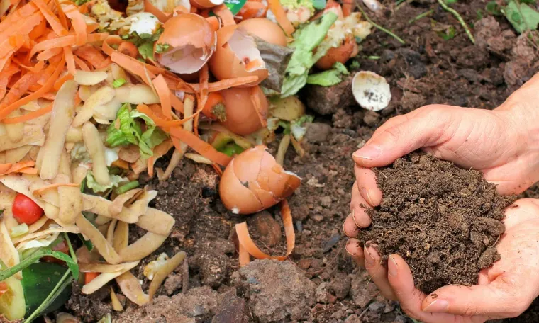 Biodegradable Trash time to decompose