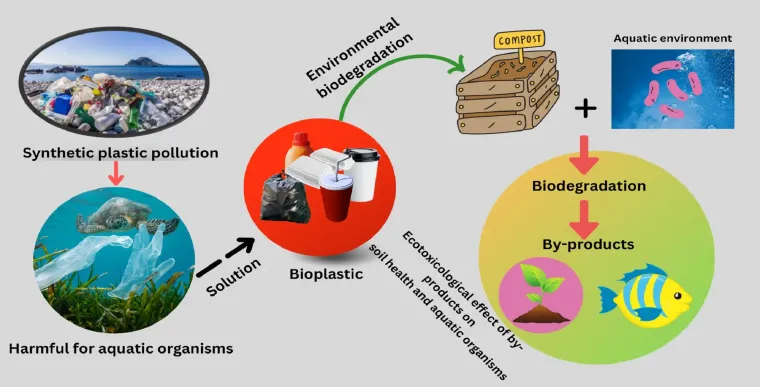 Breaking Down Biodegradable Waste