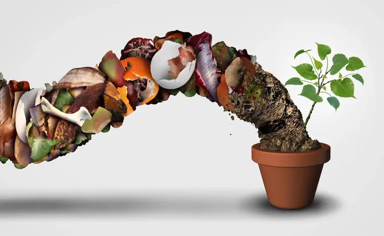 Organic Waste vs. Biodegradable Waste