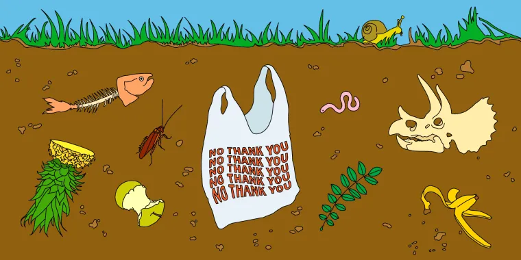 What is Considered Biodegradable Trash