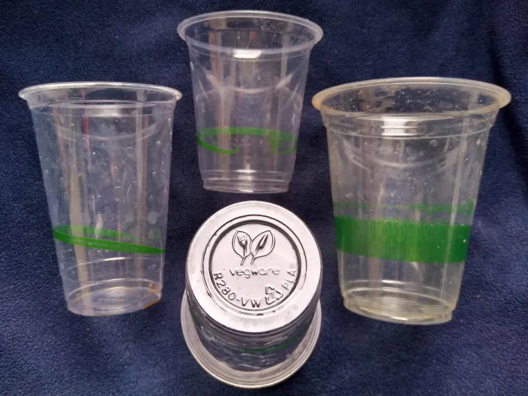 Biodegradable Plastics Comprehensive Overview of Their Mechanisms, Standards, and Environmental Implications