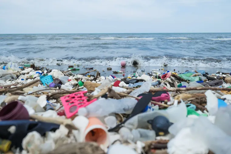 Can Biodegradable Trash Solve the Plastic Pollution Crisis?