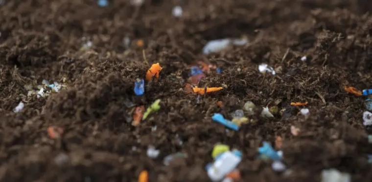 How Biodegradable Trash Affects Soil and Water Health