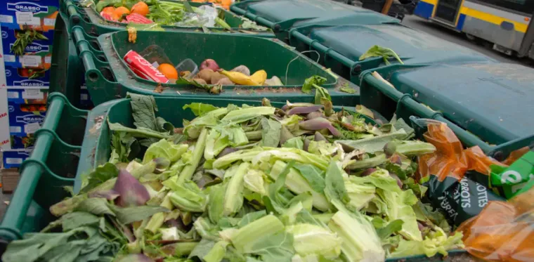 How Biodegradable Trash Fits into a Sustainable Lifestyle