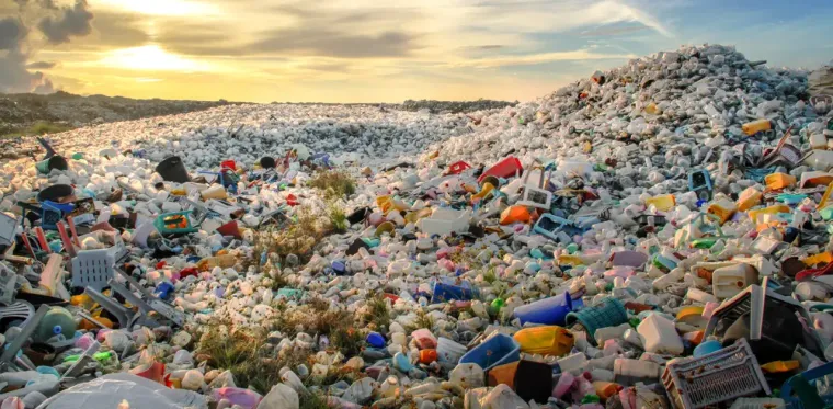 How Biodegradable Trash Helps Reduce Landfill Waste