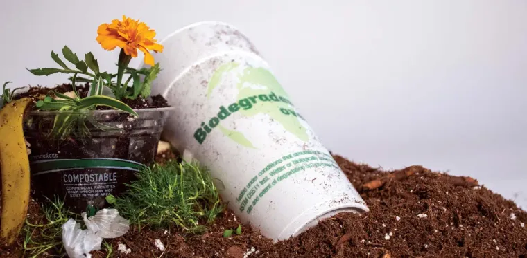 How to Reduce Waste by Using Biodegradable Trash Solutions