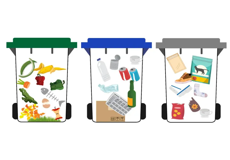 How to Separate Biodegradable Trash from Regular Waste