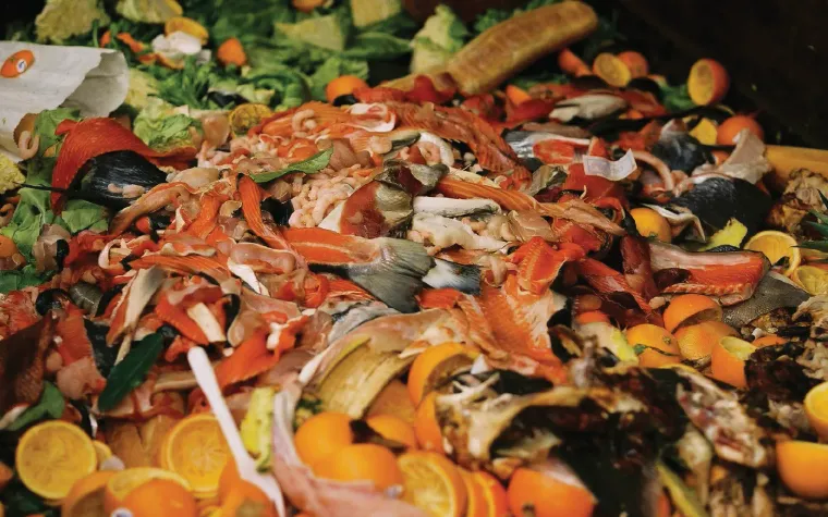 Minimalist Living and Biodegradable Waste Management
