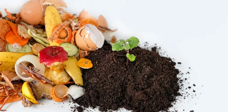 Should You Recycle or Compost Biodegradable Trash?