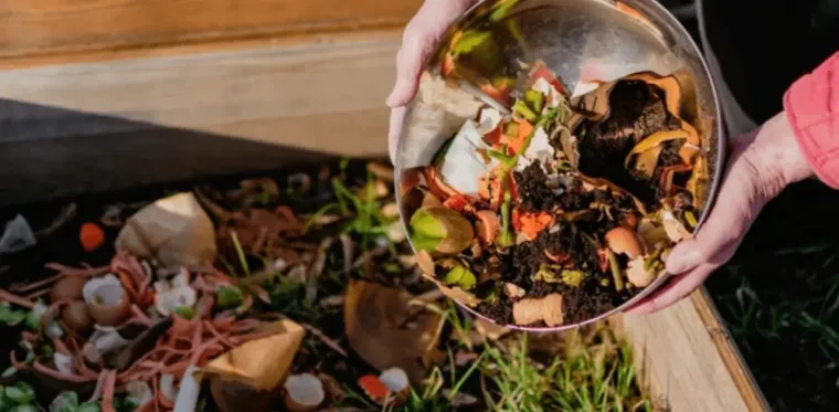 The Best Ways to Recycle Biodegradable Waste