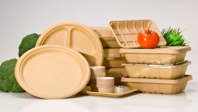 The Science Behind Biodegradable Food Containers