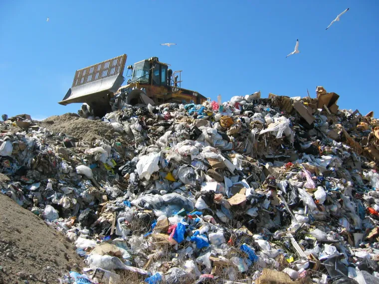 Zero Waste vs. Biodegradable Trash: Which Is the Better Approach?